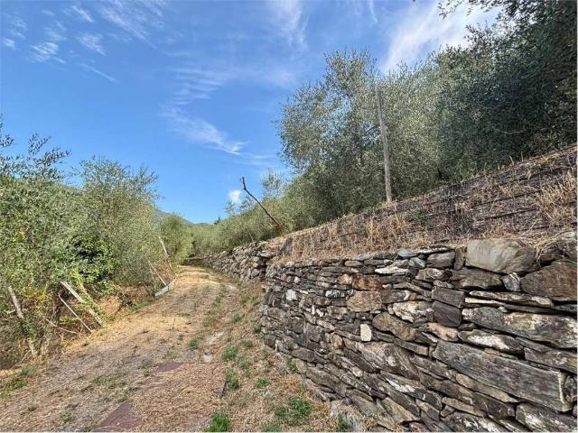 Terreno in vendita a Aquila Di Arroscia, Liguria