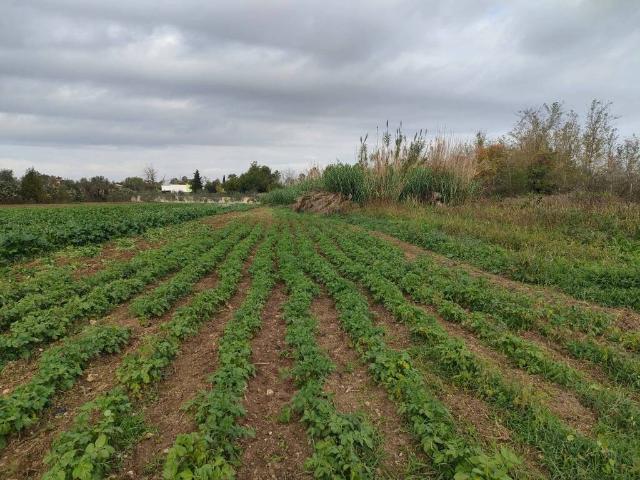 Terreno in vendita a Puglia, Lecce