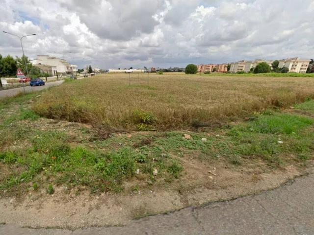 Terreno in vendita a Puglia, Lecce