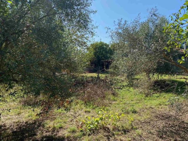 Terreno in vendita a Arce, Lazio