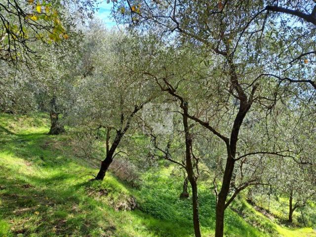 Terreno in vendita a Comunità Alto Garda e Ledro, Arco