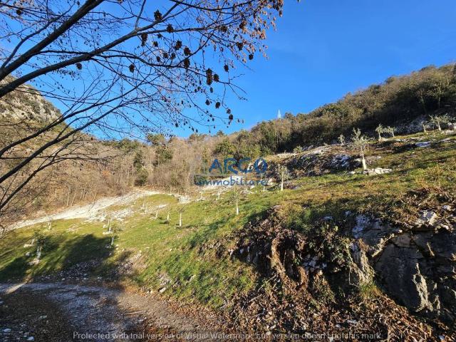Terreno in vendita a Comunità Alto Garda e Ledro, Arco