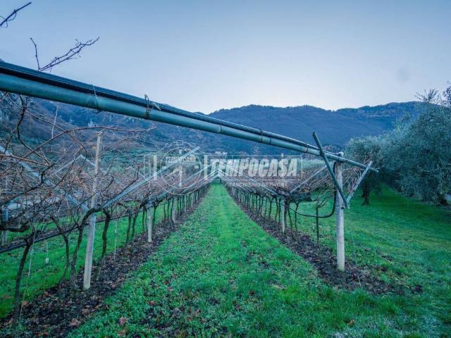 Terreno in vendita a Comunità Alto Garda e Ledro, Arco