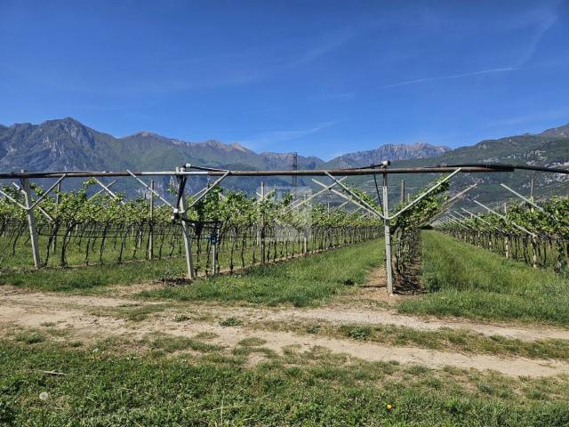 Terreno in vendita a Comunità Alto Garda e Ledro, Arco