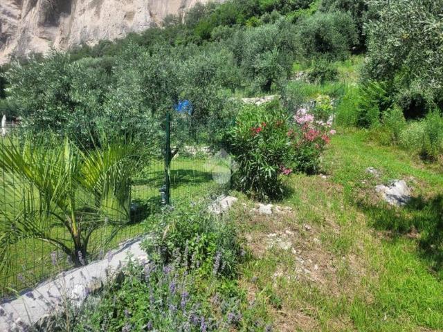 Terreno in vendita a Comunità Alto Garda e Ledro, Riva