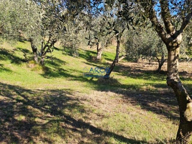 Terreno in vendita a Comunità Alto Garda e Ledro, Arco