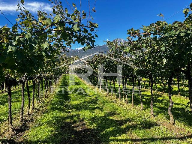 Terreno in vendita a Comunità Alto Garda e Ledro, Arco