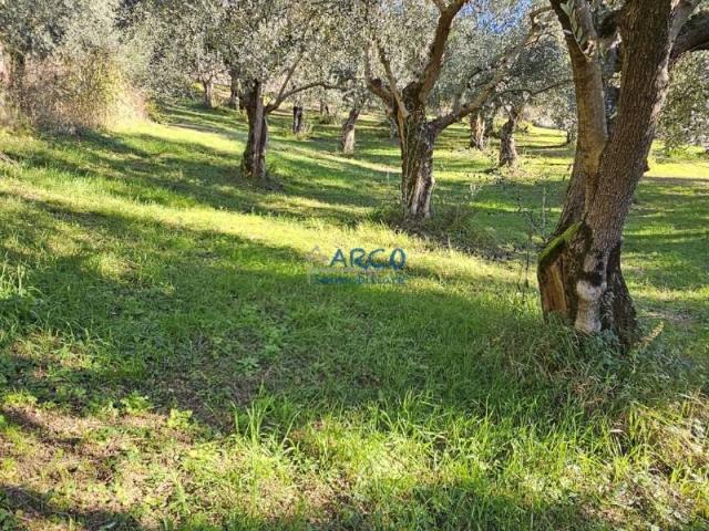 Terreno in vendita a Comunità Alto Garda e Ledro, Arco