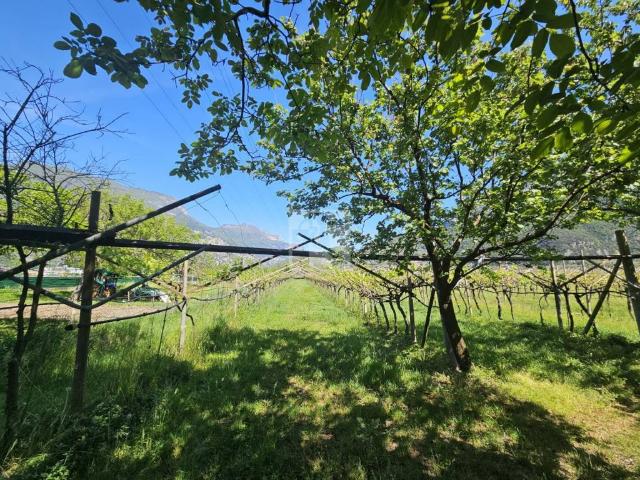 Terreno in vendita a Comunità Alto Garda e Ledro, Arco