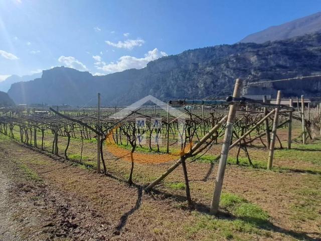 Terreno in vendita a Comunità Alto Garda e Ledro, Arco