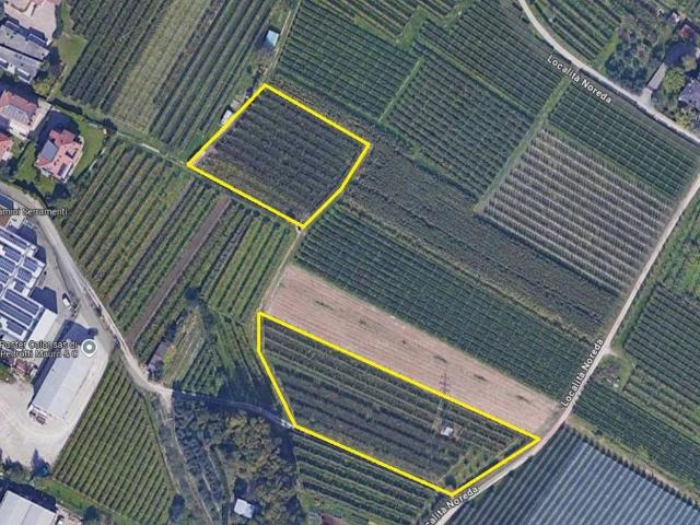 Terreno in vendita a Comunità Alto Garda e Ledro, Arco