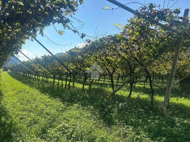 Terreno in vendita a San Martino, Arco