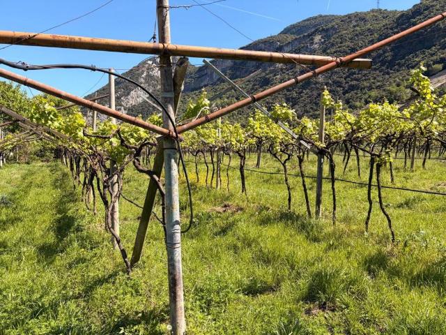 Terreno in vendita a Comunità Alto Garda e Ledro, Arco