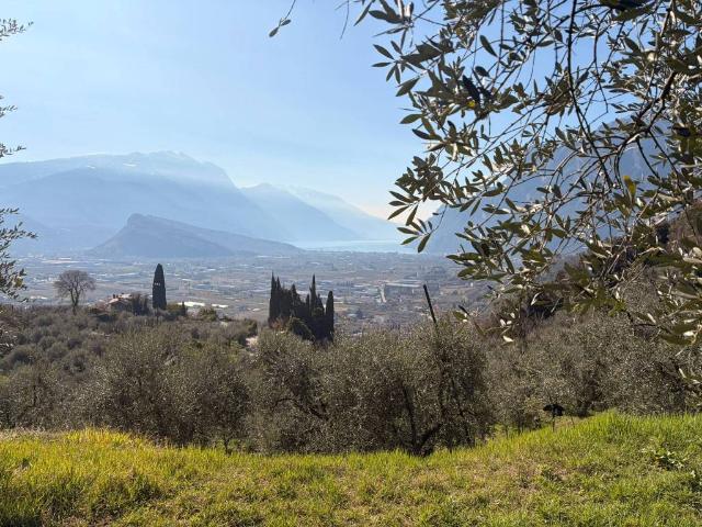 Terreno in vendita a Comunità Alto Garda e Ledro, Arco
