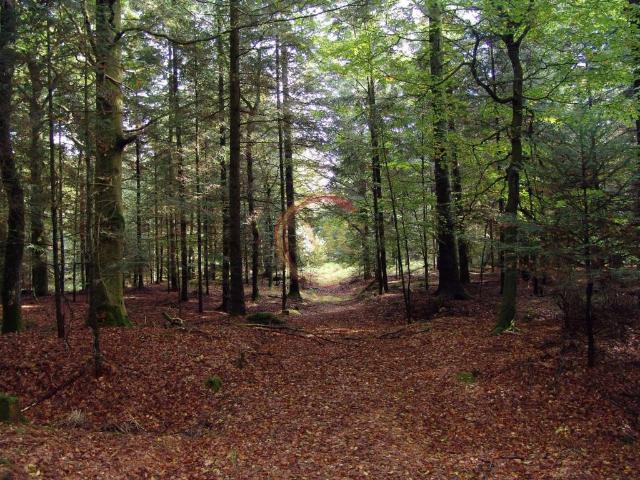 Terreno in vendita a Comunità Alto Garda e Ledro, Arco