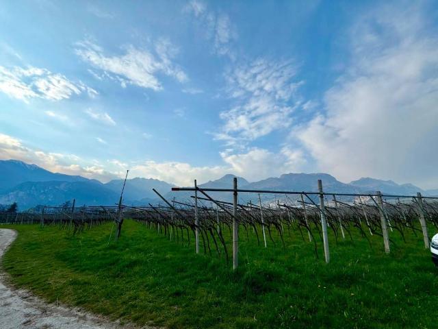 Terreno in vendita a Comunità Alto Garda e Ledro, Arco