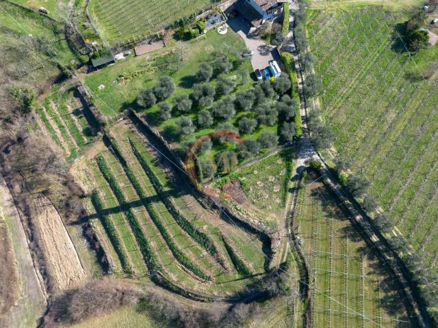 Terreno in vendita a Comunità Alto Garda e Ledro, Arco
