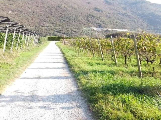 Terreno in vendita a Comunità Alto Garda e Ledro, Arco