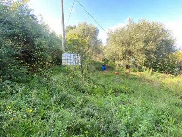 Terreno in vendita a Ponte di Arcola, Arcola