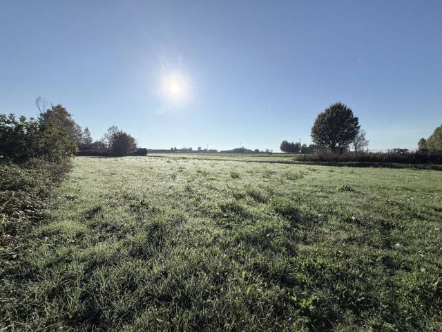 Terreno in vendita a Gazzolo, Arcole