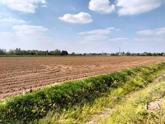 Terreno in vendita a Arconate, Lombardia