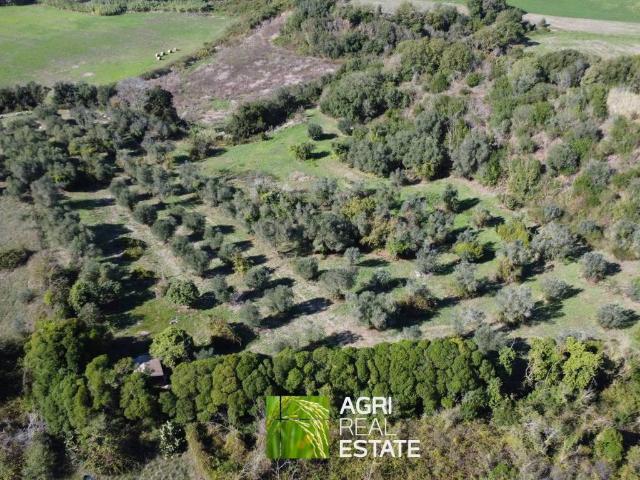 Terreno in vendita a Roma Capitale, Lazio