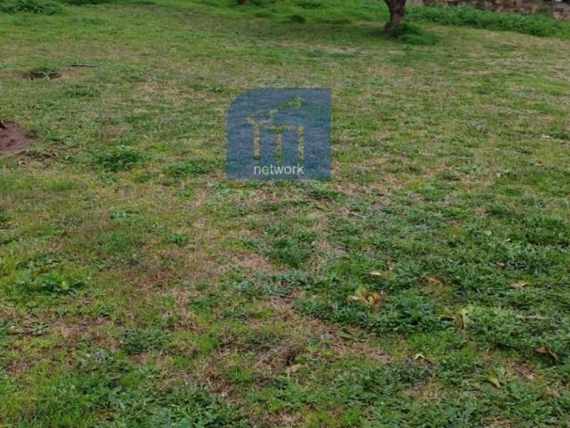 Terreno in vendita a Roma Capitale, Lazio