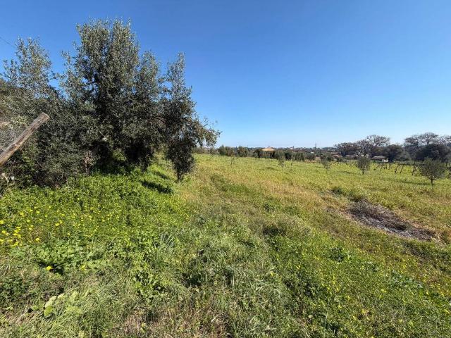 Terreno in vendita a Calabria, Reggio Calabria