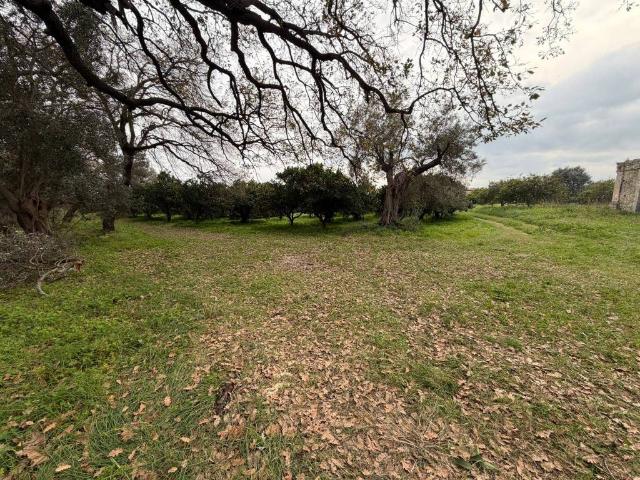 Terreno in vendita a Calabria, Reggio Calabria