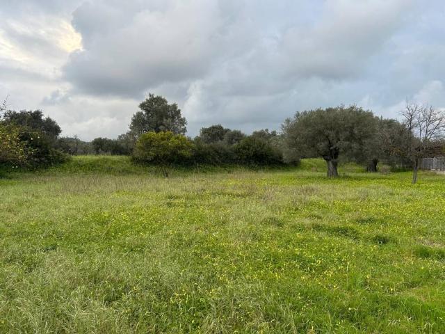 Terreno in vendita a Calabria, Reggio Calabria