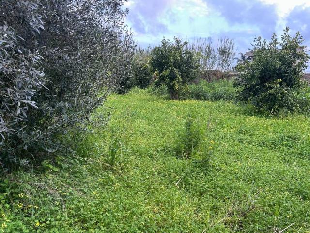 Terreno in vendita a Calabria, Reggio Calabria
