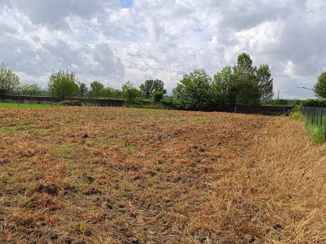 Terreno in vendita a Arena Po, Lombardia