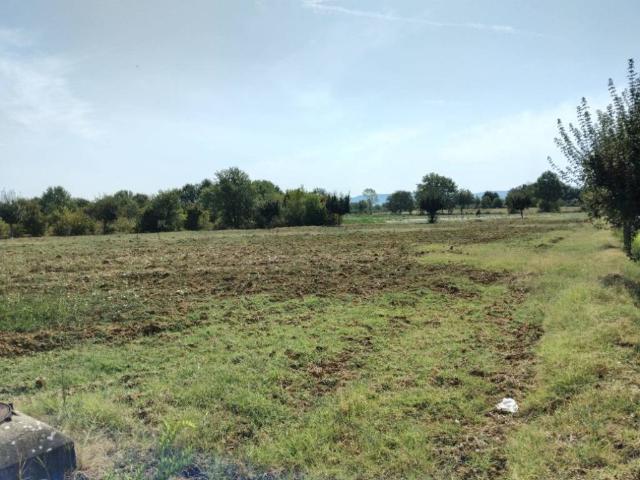 Terreno in vendita a Indicatore, Palazzo Del Pero