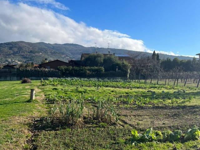 Terreno in vendita a Il Matto, Palazzo Del Pero