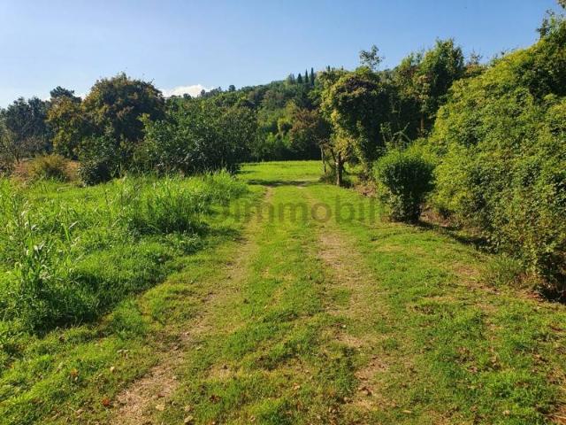 Terreno in vendita a Staggiano, Arezzo