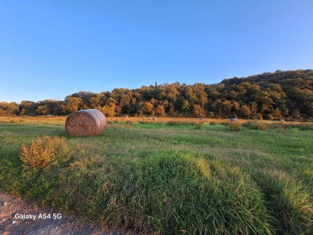 Terreno in vendita a Palazzo Del Pero, Toscana
