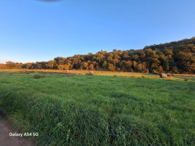 Terreno in vendita a Palazzo Del Pero, Toscana