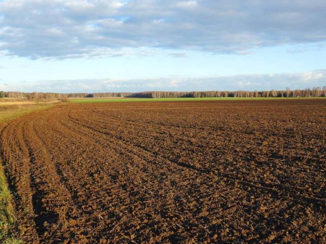 Terreno in vendita a Consandolo, Argenta