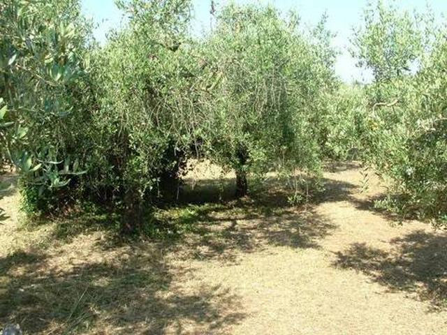 Terreno in vendita a Roma Capitale, Lazio