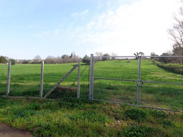 Terreno in vendita a Roma Capitale, Lazio