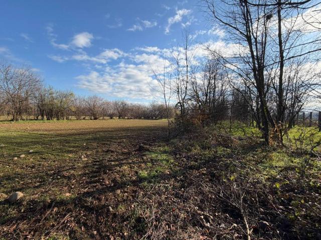 Terreno in vendita a Arluno, Lombardia