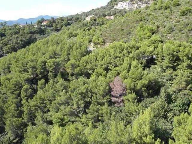 Terreno in vendita a Arnasco, Liguria