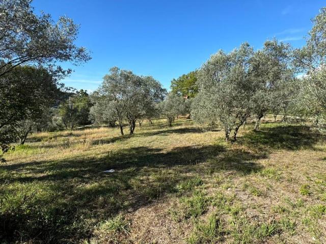 Terreno in vendita a Cività Falconara, Arpino
