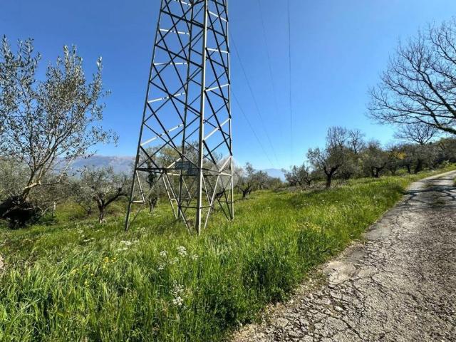Terreno in vendita a Arpino, Lazio