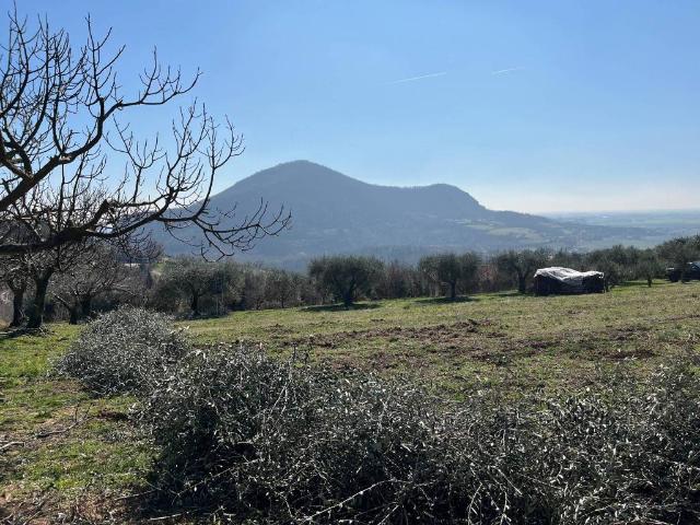 Terreno in vendita a Arquà Petrarca, Veneto