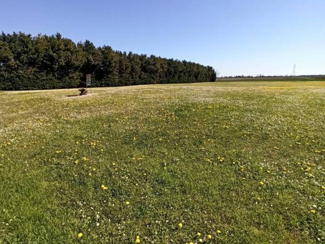 Terreno in vendita a Arquà Polesine, Veneto