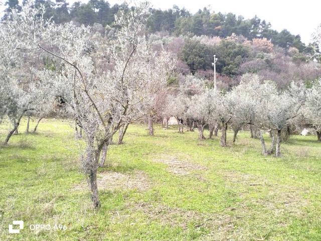 Terreno in vendita a Arrone, Umbria