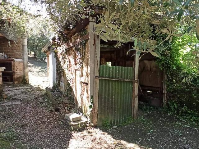 Terreno in vendita a Arrone, Umbria