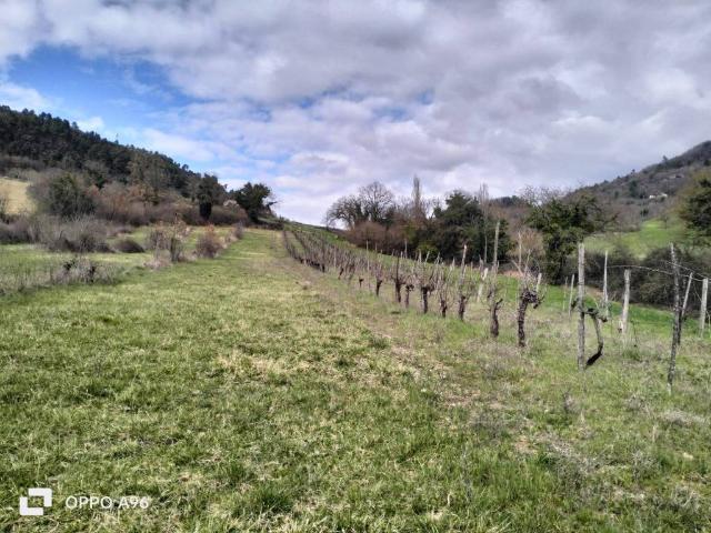 Terreno in vendita a Arrone, Umbria