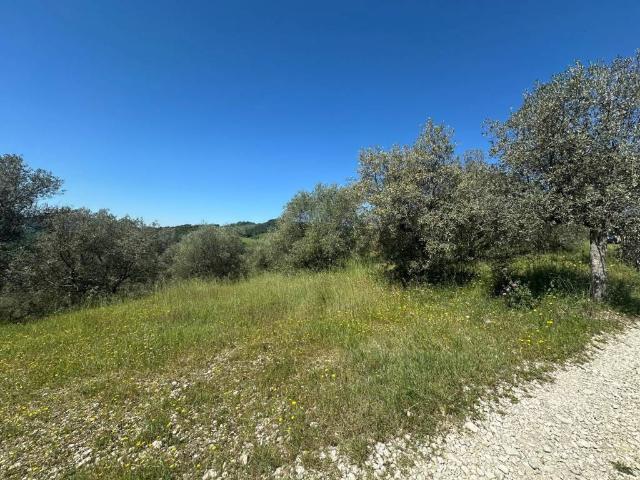 Terreno in vendita a Arrone, Umbria